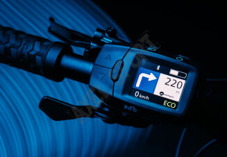 KELLYS Rower Tygon R10 P Forest M 29