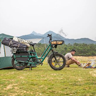 Elektryczny rower cargo Fiido T2 typu longtail Fatbike Grey 2025 - 5