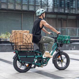 Elektryczny rower cargo Fiido T2 typu longtail Fatbike Grey 2025 - 6
