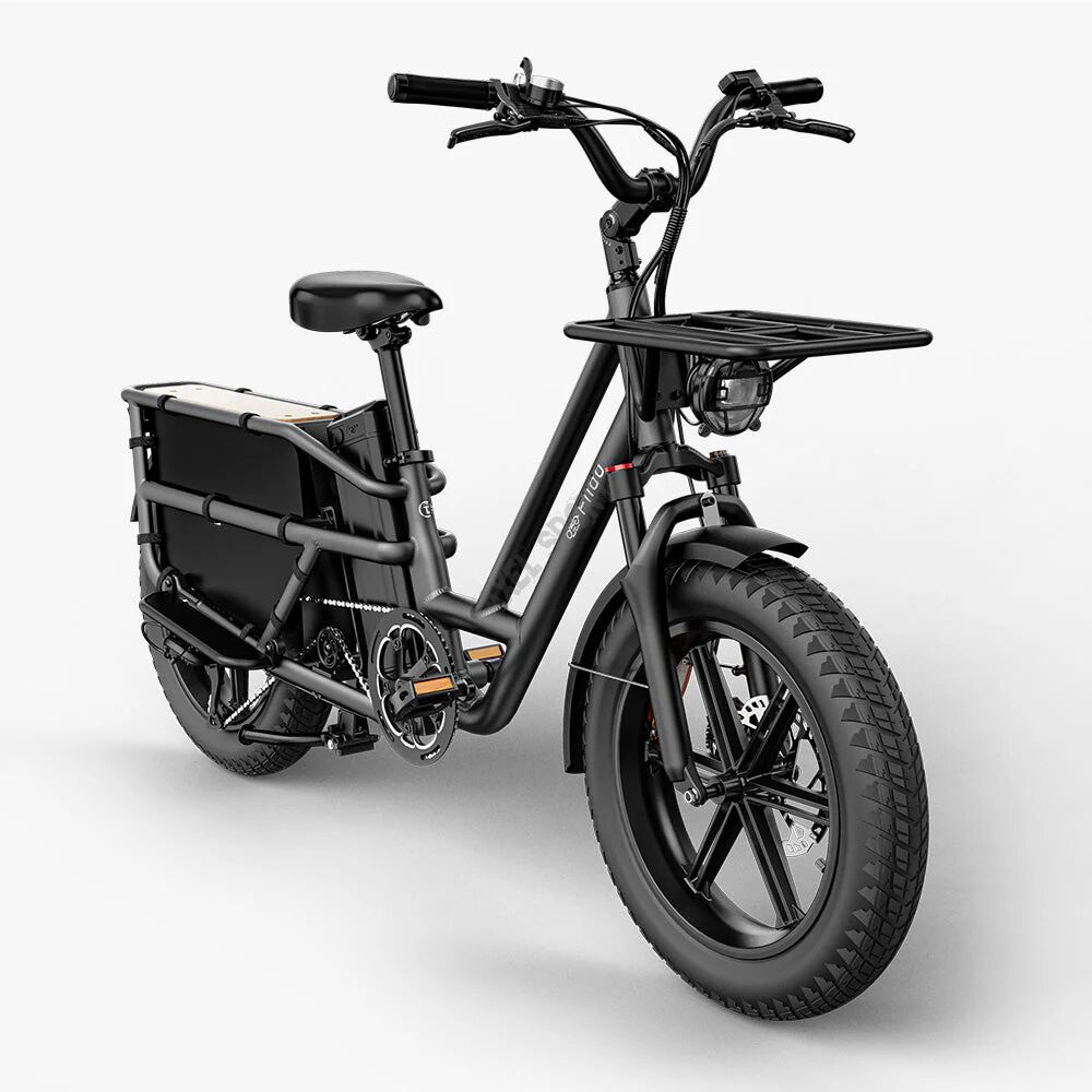 Elektryczny rower cargo Fiido T2 typu longtail Fatbike Grey 2025