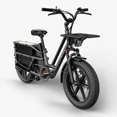 Elektryczny rower cargo Fiido T2 typu longtail Fatbike Grey 2025