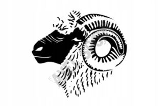 Czapka BRUBECK Extreme Wool HM1018 śliwka L/XL - 7