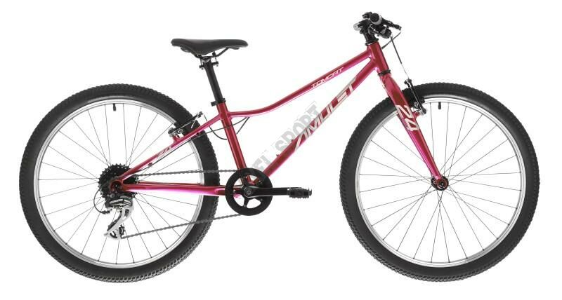 Rower dziecięcy AMULET TOMCAT SH (24'') raspberry/silver