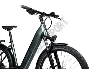 PELLS Rower Thorr City Pine Green - 2