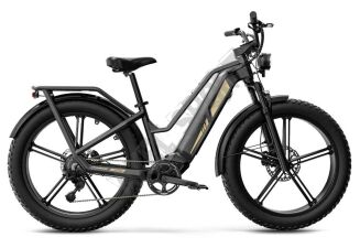 Rower elektryczny turystyczny FIIDO TITAN-2025  fatbike 250W do 200kg - 2