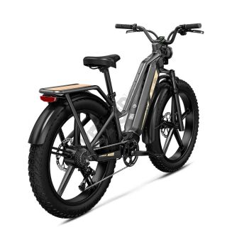 Rower elektryczny turystyczny FIIDO TITAN-2025  fatbike 250W do 200kg - 3