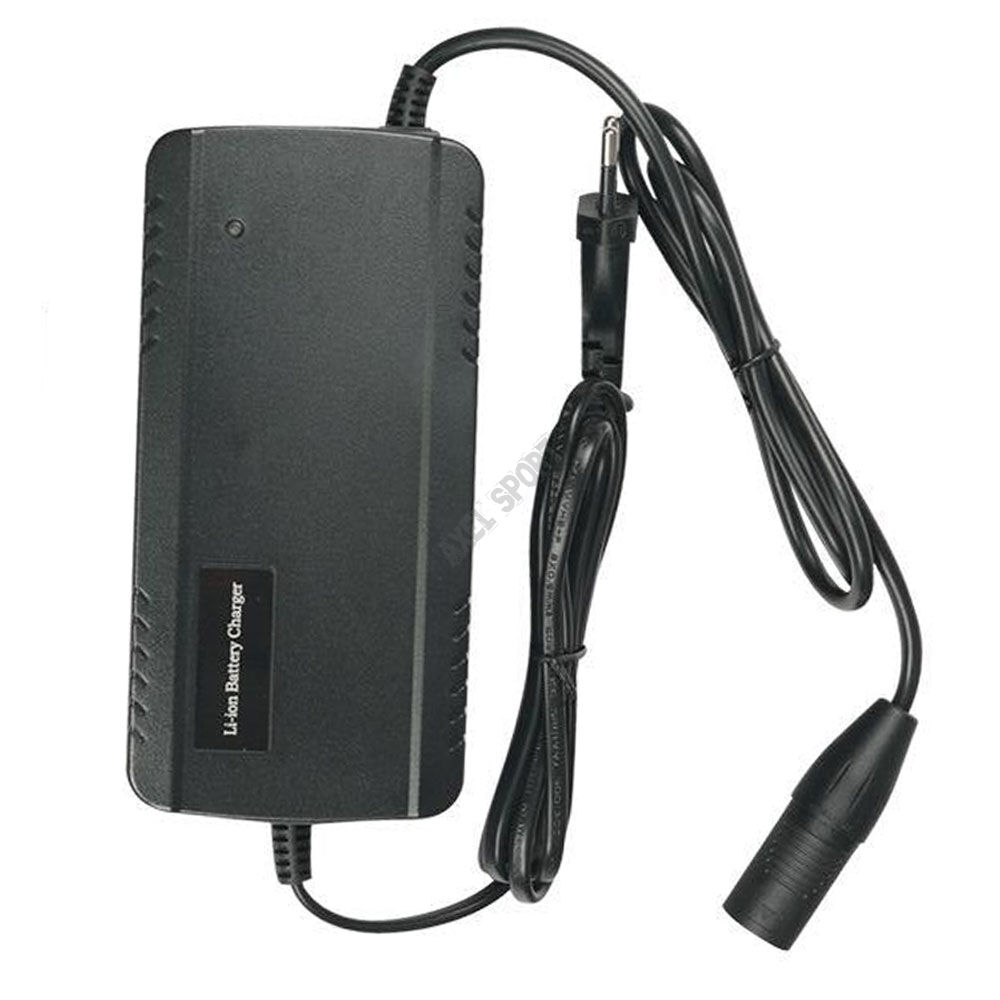 Ładowarka do FIIDO T2 Cargo EU charger