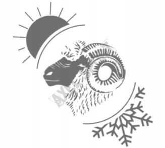 Wkładki do butów SIDAS Winter 3D Merino MID - 8