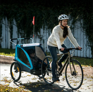 Przyczepka THULE Coaster XT 2-dzieci niebieska - 7