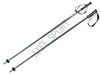 Kije narciarskie HEAD MULTI grey/white - 2