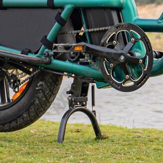 FIIDO Rower elektryczny T2-2025 Cargo Green - 7