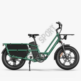 FIIDO Rower elektryczny T2-2025 Cargo Green - 2