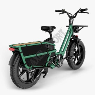 FIIDO Rower elektryczny T2-2025 Cargo Green - 5