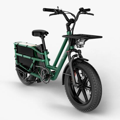 FIIDO Rower elektryczny T2-2025 Cargo Green