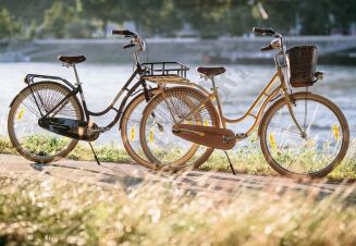 Rower miejski Kellys Arwen Dutch (28